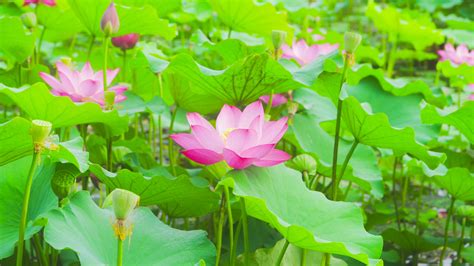 冬天出生的人|季节也能决定命运？夏天 or 冬天出生的娃，竟然有这么多差别！